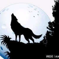 黑狼守护洋妮