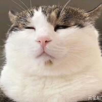 温柔给予晚安