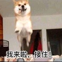 好巧你也没人要
