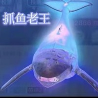 抓鱼老王