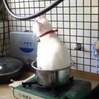 尊师七斤灬八两