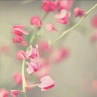 八爷家de以后