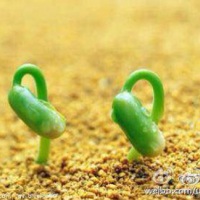 江南雨哥
