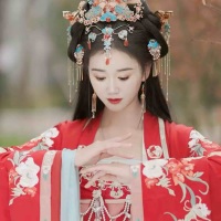 Y孕傻三十年V