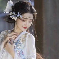 古筝林苏