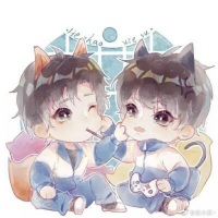 木瓜黄的宝
