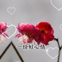戏说流年的伤