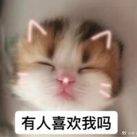 雨子酱幸运降临