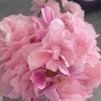 优宝儿er