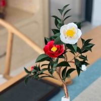 装深情你很6