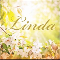 linda66666