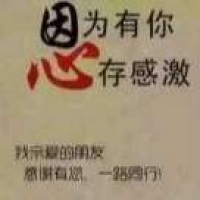 唯一去渡劫了
