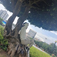龙偶喧