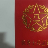 8十1的小狼狗