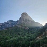 f游魂