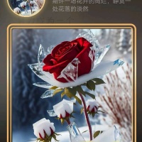 许你一世偏爱