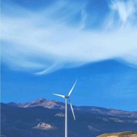 小白L小逗solar