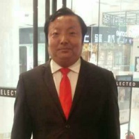 魁梧桐382715