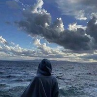 半城風雨半城伤
