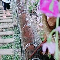熊丹丹783