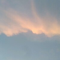 人类掌管者