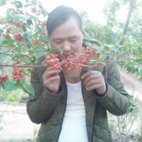 传说中的小黑哥549