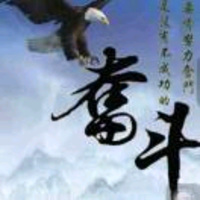 乘风破浪523218