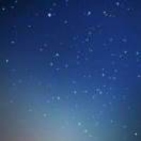 刘雨佳171