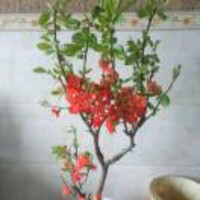 陈贵菊829