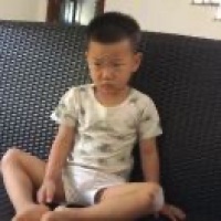 大展宏图382