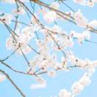 人生如梦510
