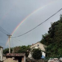 江湘蓉36002