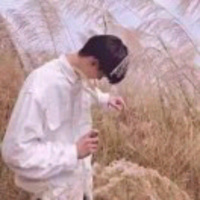快手主播子涵