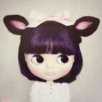 兔兔的狗尾巴草