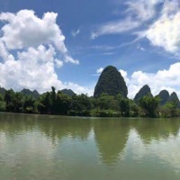 多尼216