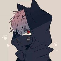 崔赫230
