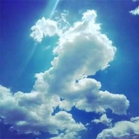 夏建龙480