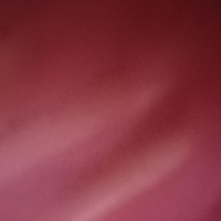 蒲涛172