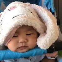 趙328539