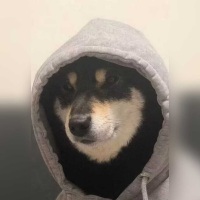 张晗宇386