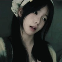 呆呆羊797