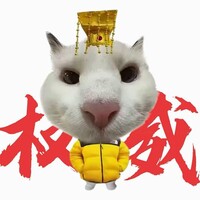 小猫老弟271